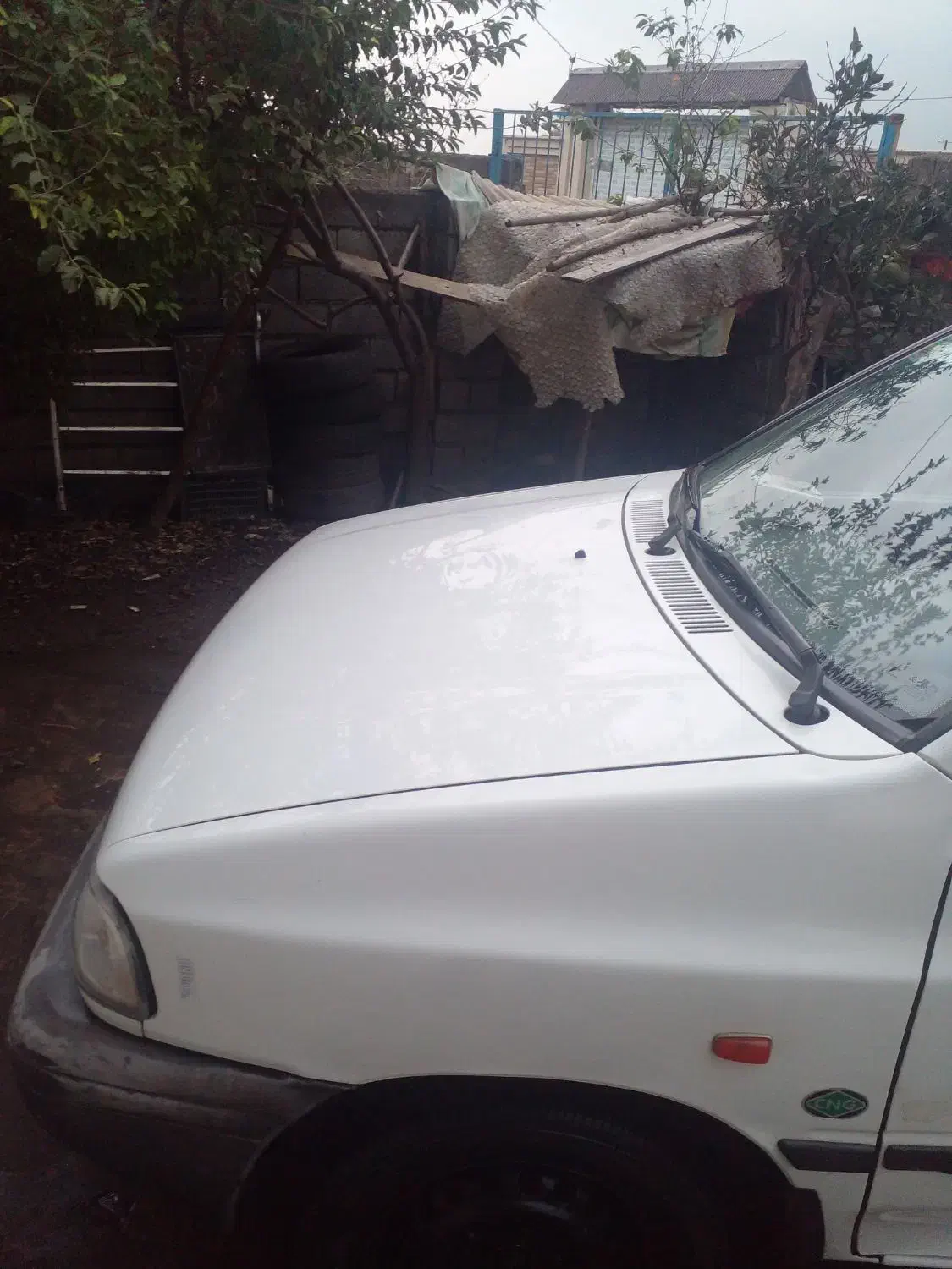 حمل مسافر|خدمات حمل و نقل|لاهیجان, شیشه گران|دیوار