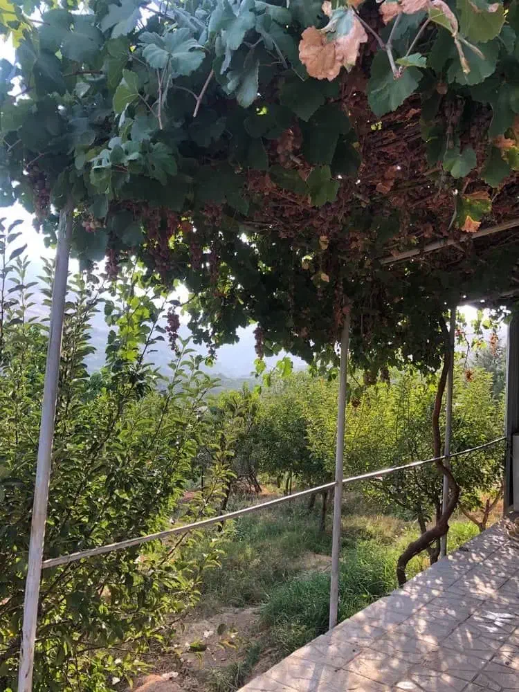 اجاره باغ ویلای لوکس ۲ خوابه در گلدشت|اجارهٔ کوتاه‌مدت ویلا و باغ|بروجرد, |دیوار