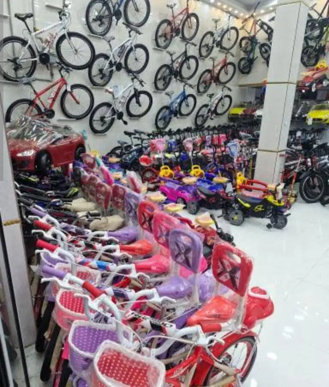 محصولات اصلی «فروشگاه امپراطور »|دوچرخه، اسکیت، اسکوتر|کرمان, |دیوار