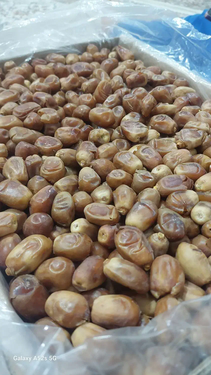 خرما زاهدی صادراتی|خوردنی و آشامیدنی|ری, شهرک نظامی|دیوار