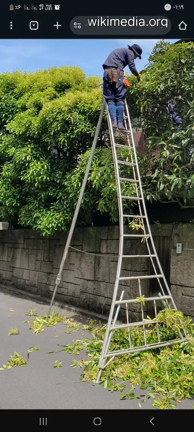 خرید هیزم چوب خشک و هرس درختان باغ|خدمات باغبانی و درختکاری|کرج, شهرک احمدیه‎|دیوار