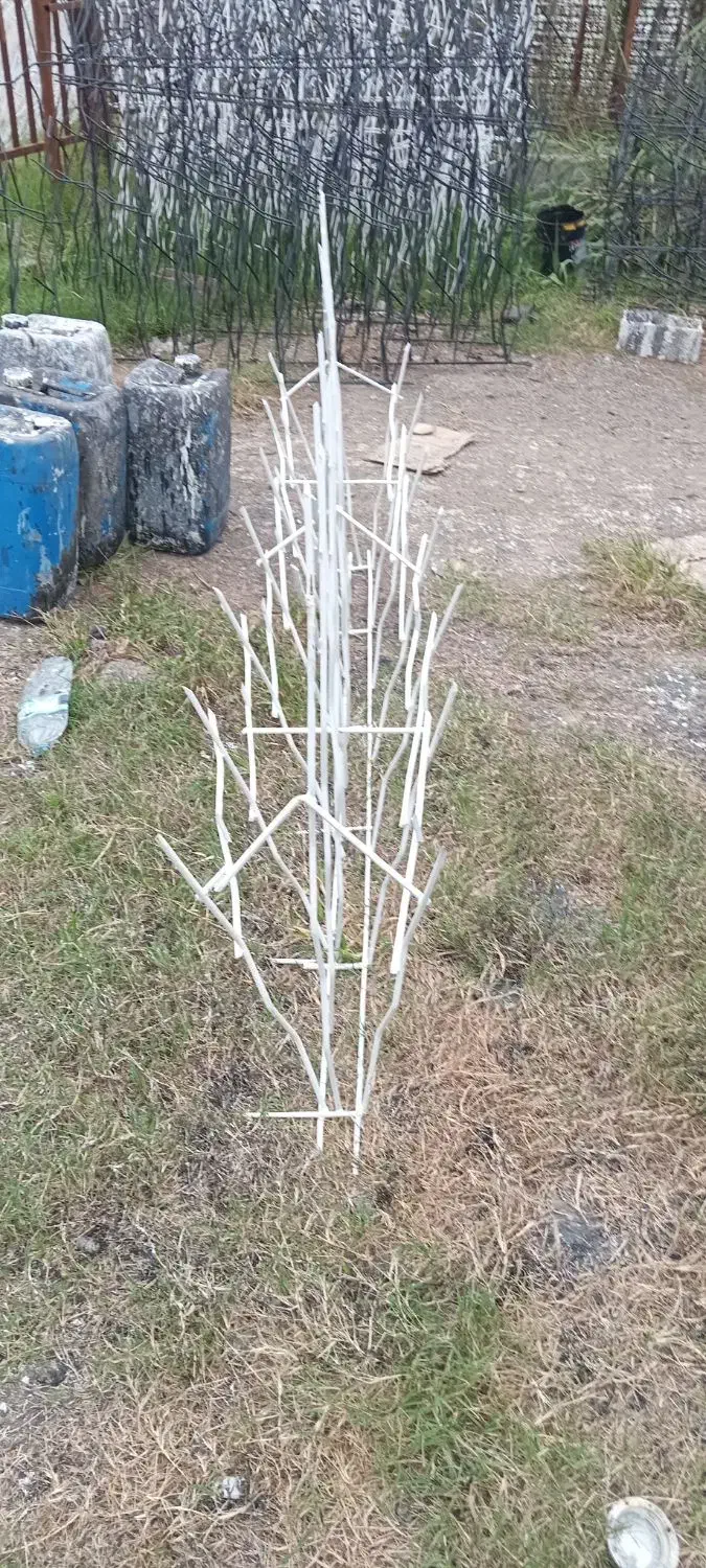 پخش شاخ گوزنی|مصالح و تجهیزات ساختمان|آمل, |دیوار