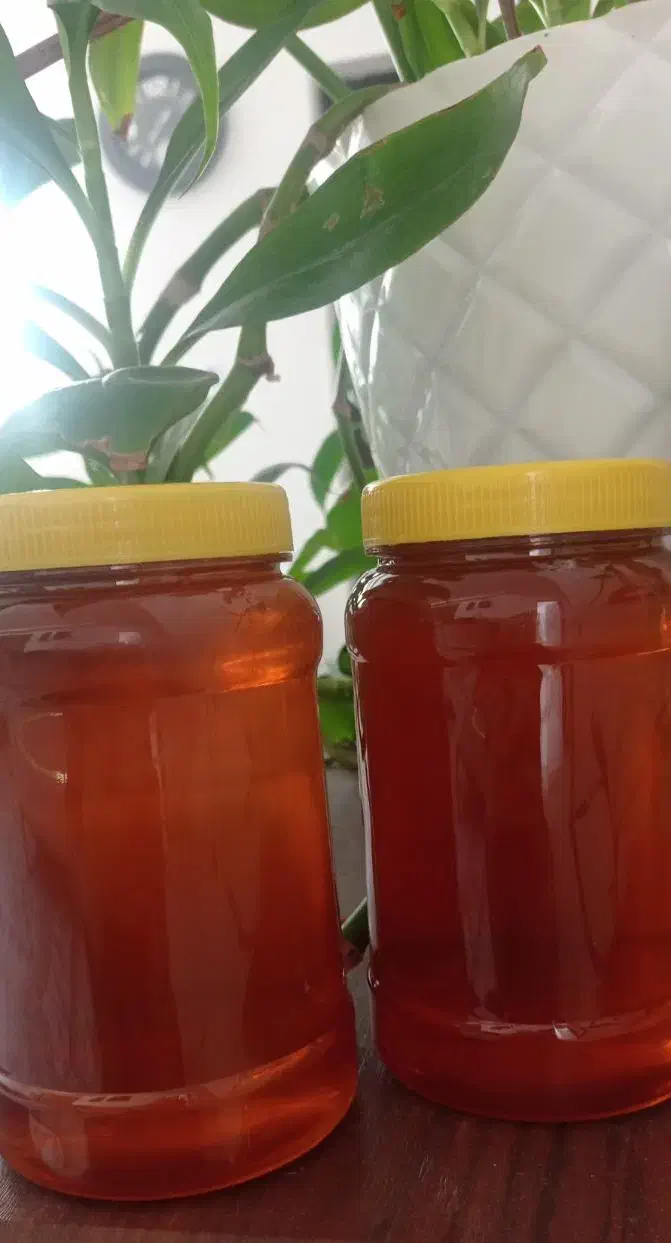 عسل سلامتی|خوردنی و آشامیدنی|جم, |دیوار