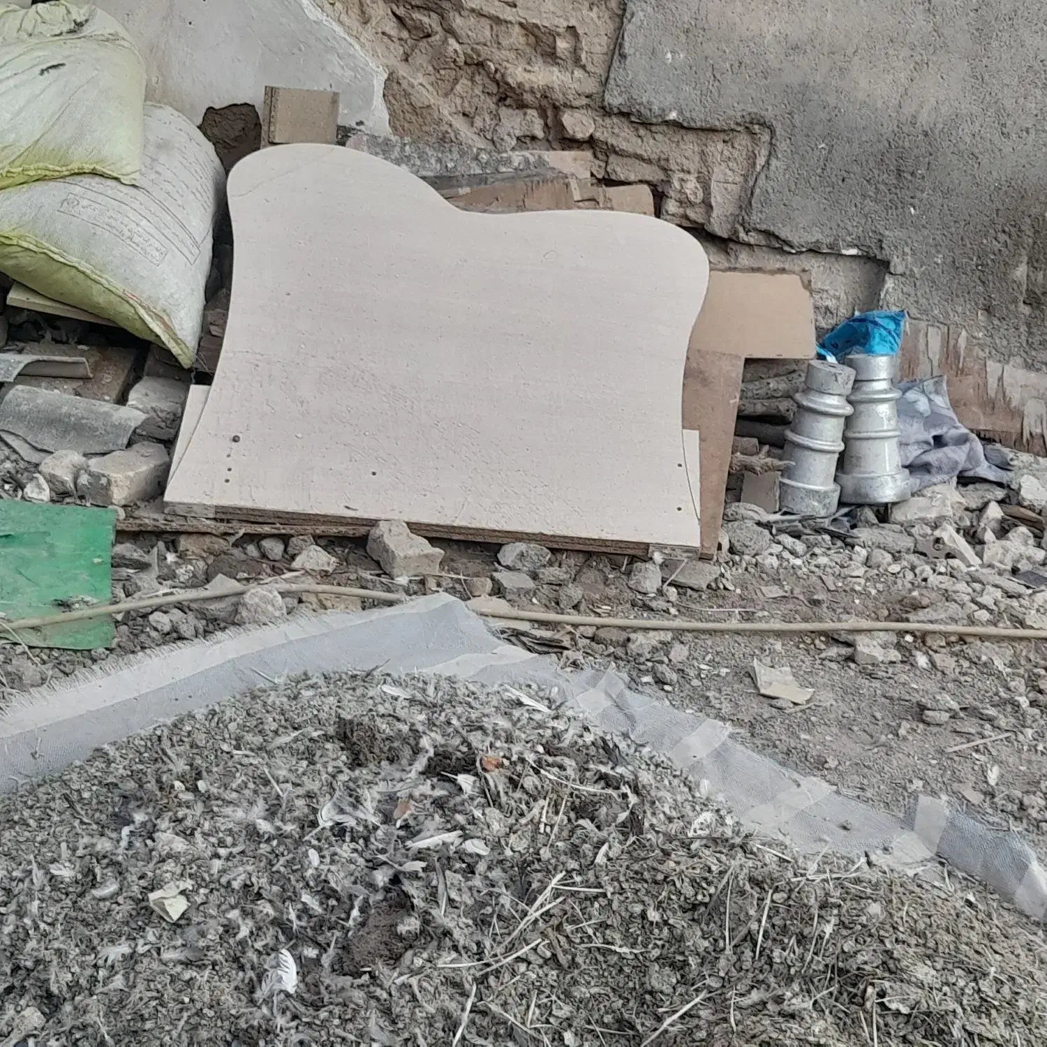 فضله کبوتر|پرنده|رضویه, |دیوار