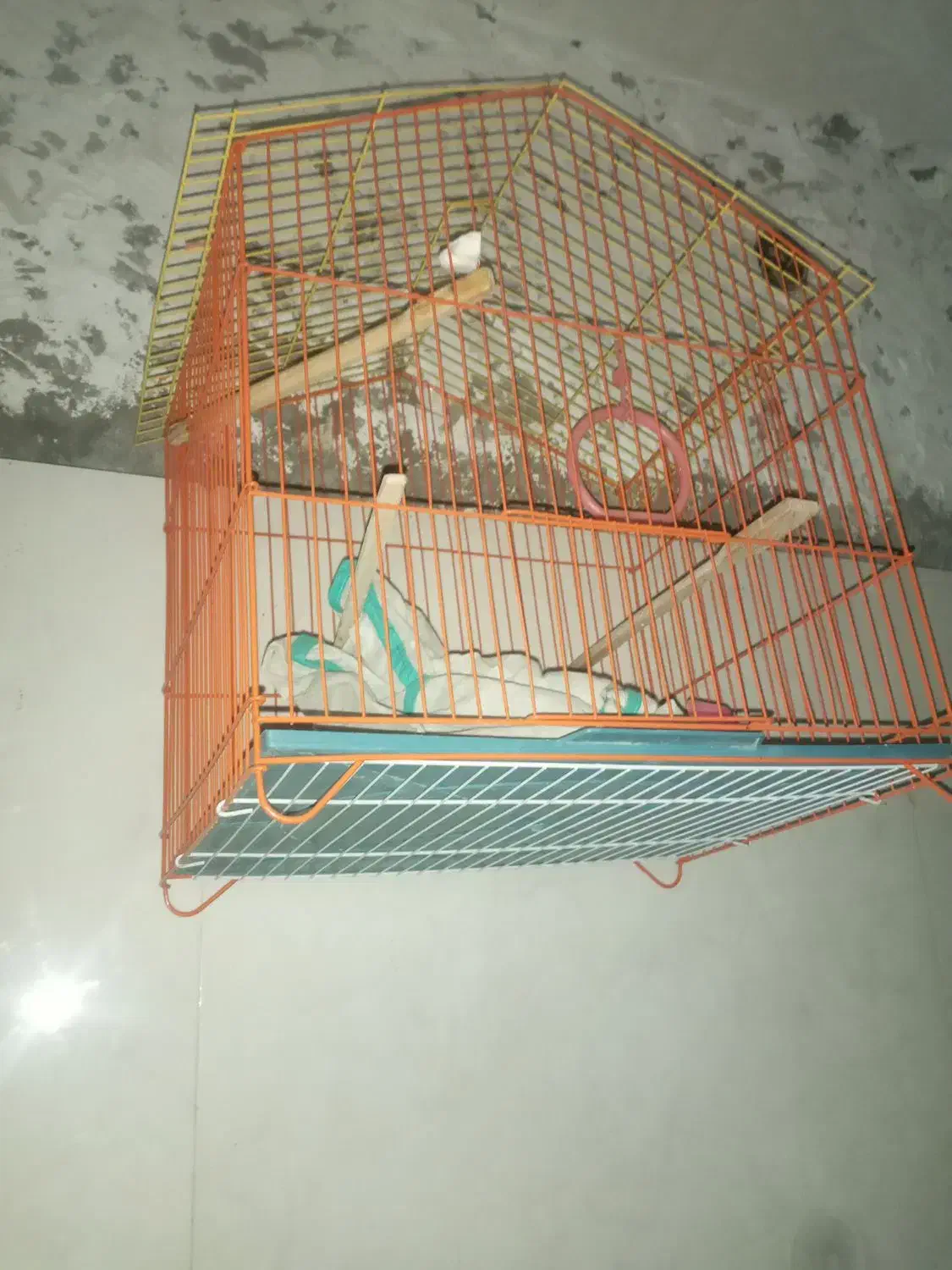 قفس ۲عدد|لوازم جانبی حیوانات|سوسنگرد, |دیوار