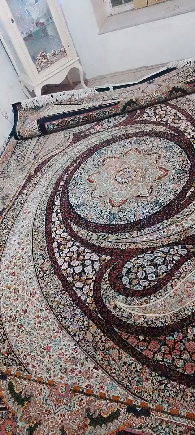قالی 12متری 700شانه|فرش|آشخانه, |دیوار