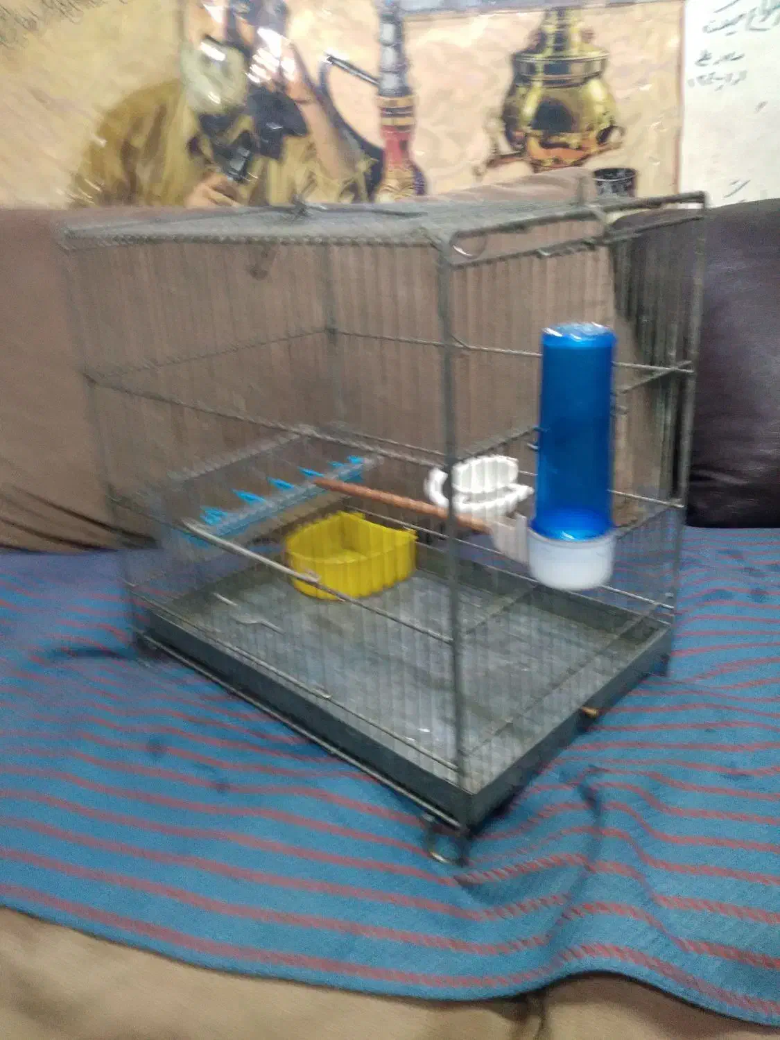 تعدادی قفس سره.۱عددقفس جوجه پرون|لوازم جانبی حیوانات|ری, شهید بهشتی|دیوار