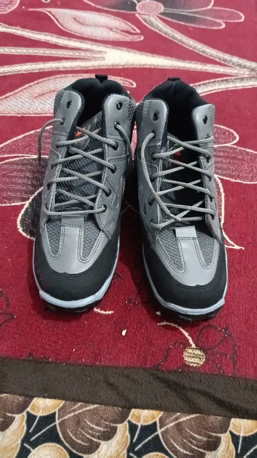 کفش گردشگری|کیف، کفش، کمربند|باوی, |دیوار