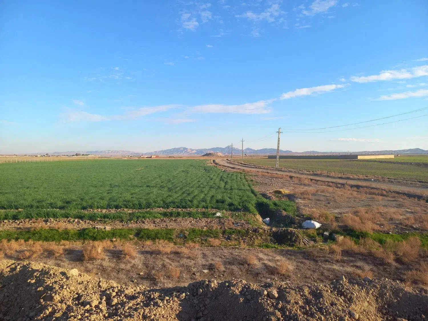 زمین کشاورزی سند ششدانگ|فروش زمین و ملک کلنگی|شریفآباد, |دیوار