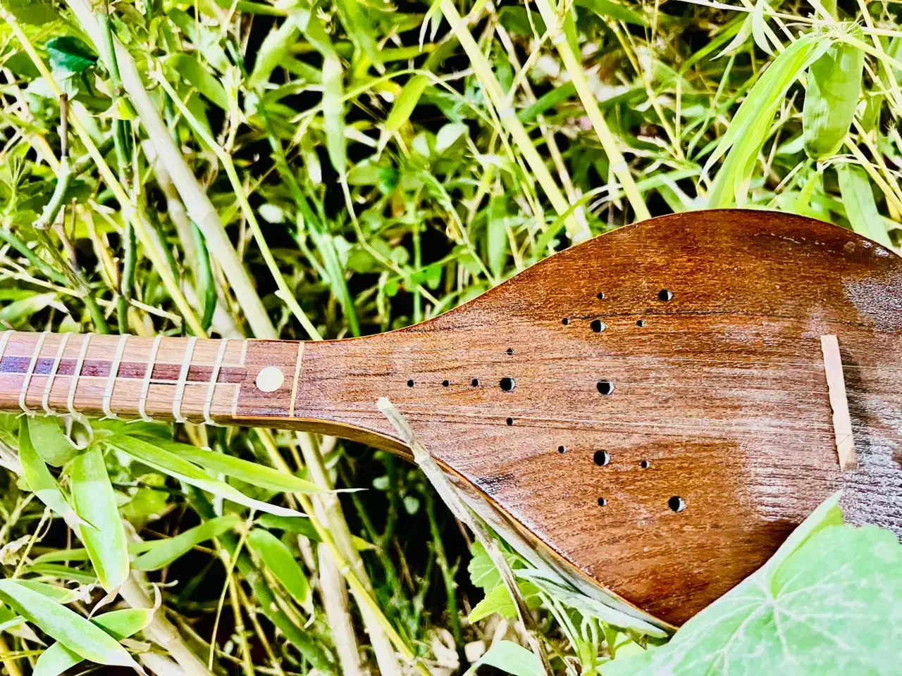 ساز ستار|سازهای سنتی|شیراز, دکتر حسابی|دیوار