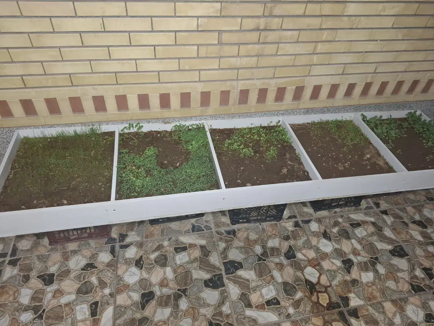 گلدون یا باکس سبزی ضد اب ام دی اف|گل و گیاه طبیعی|سیرجان, |دیوار