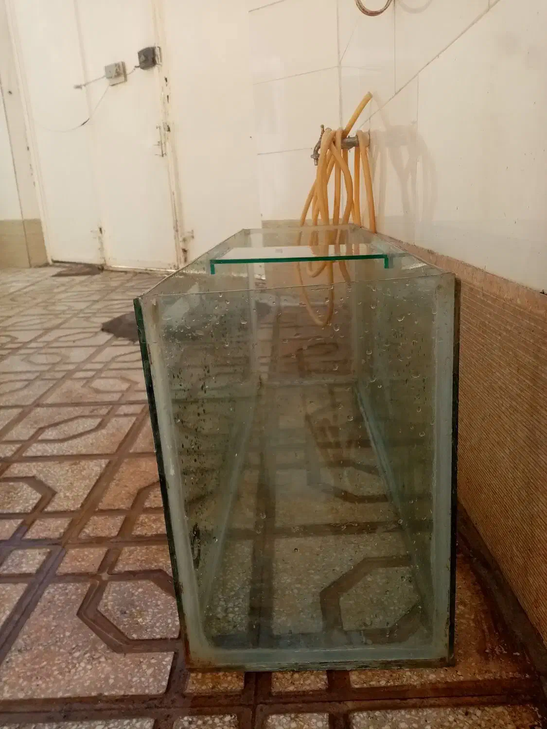 اکواریوم|ماهی|سبزوار, همت|دیوار