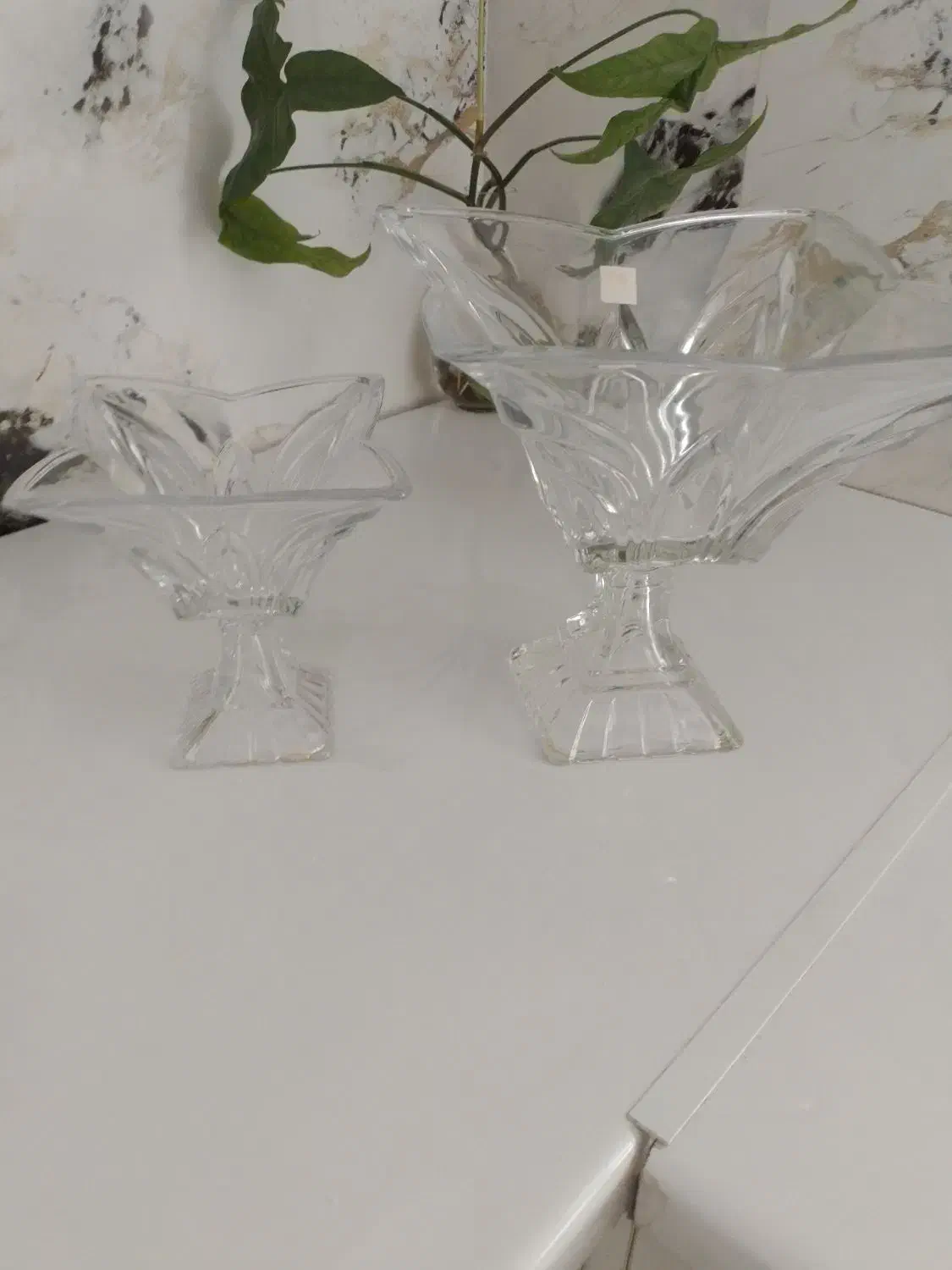 جامیونگ ای جاشکلاتی مفت|ظروف سرو و پذیرایی|نیشابور, مازول|دیوار