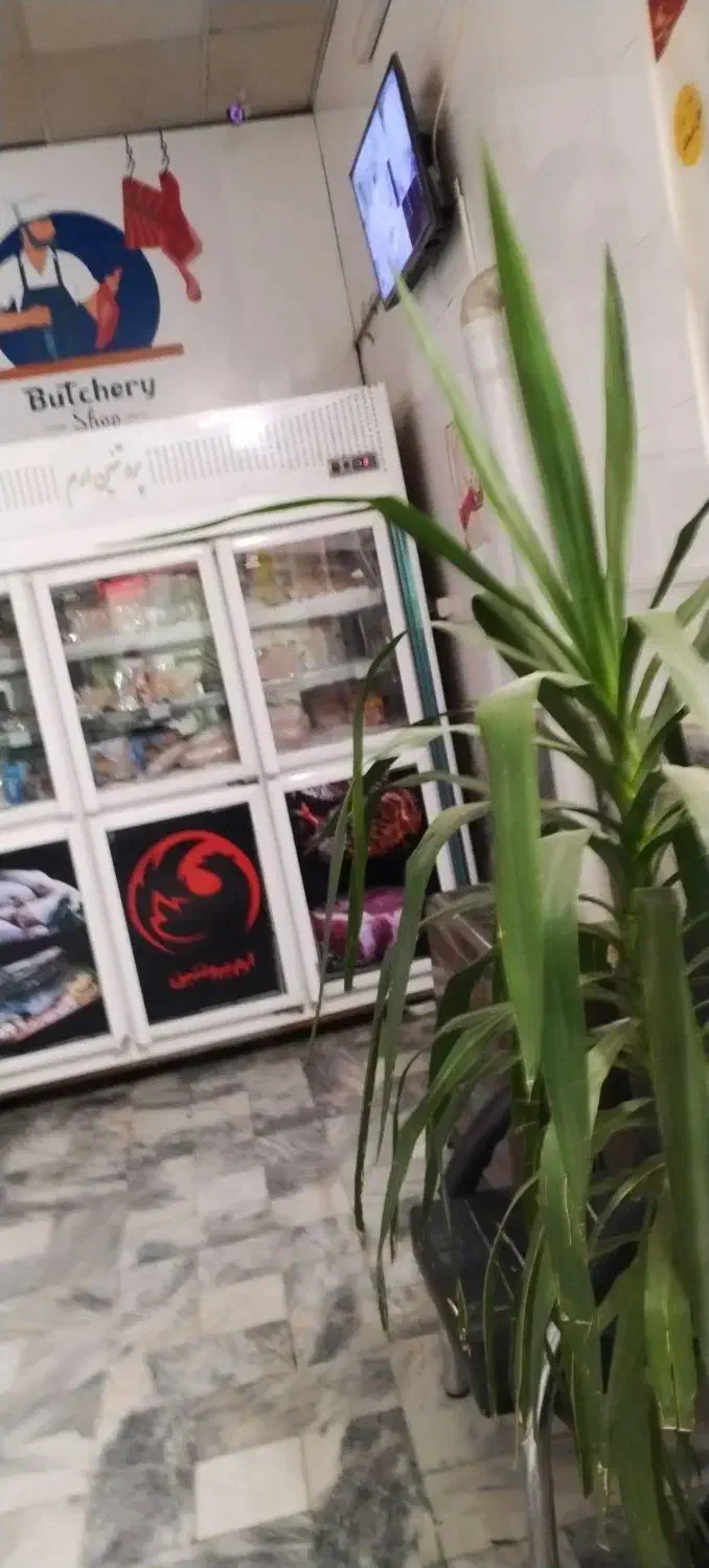 قطعه کار مرغ|استخدام خدمات فروشگاه و رستوران|مشهد, جاهد شهر|دیوار