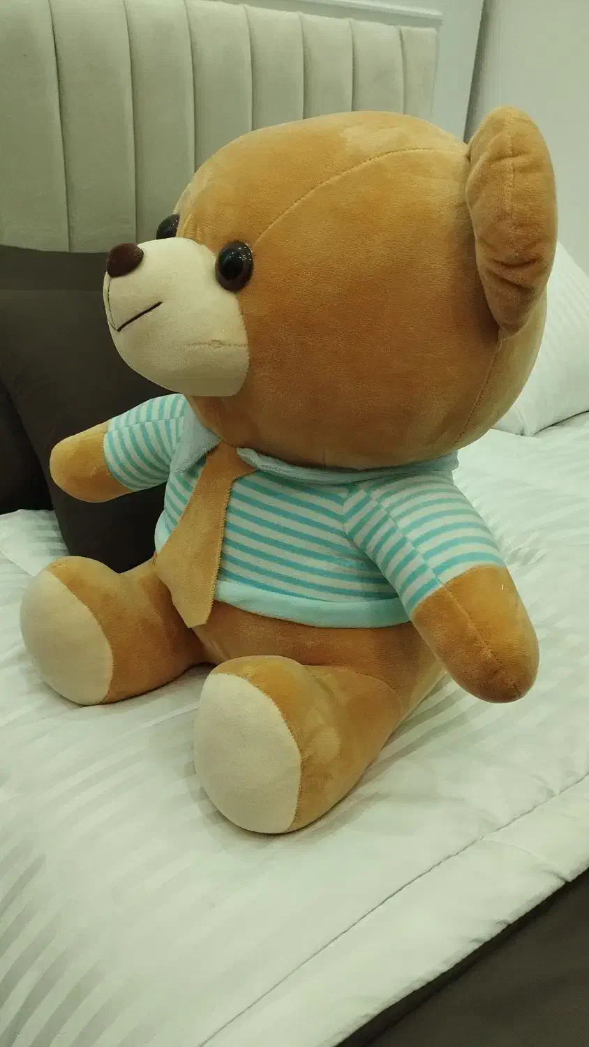 عروسک خرس|اسباب‌‌بازی|کرج, شهرک بنفشه|دیوار