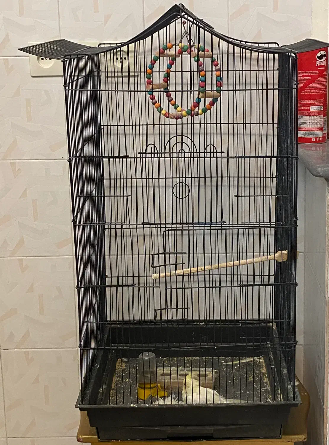 قفس پرنده|لوازم جانبی حیوانات|سبزوار, شرق کال جنوبی (شمس آبادی)|دیوار