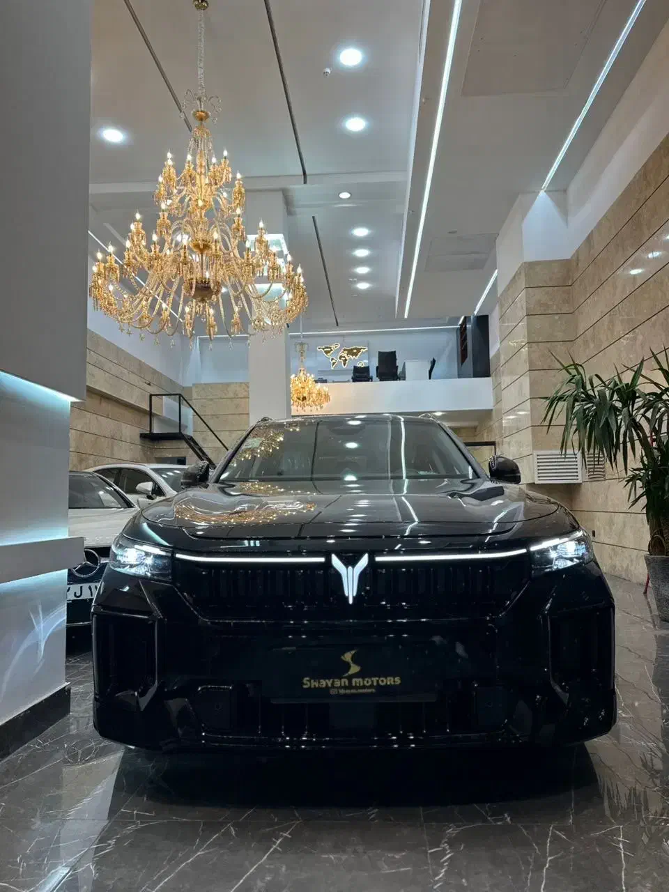 وویا فری ۲۰۲۵|خودرو سواری و وانت|تهران, میرداماد|دیوار