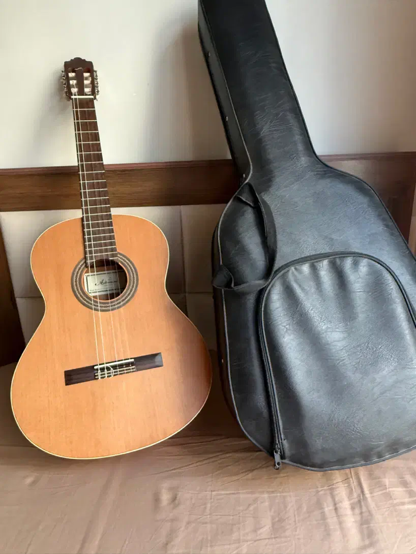 گیتار Altamira التامیرا اکبند با هارد کیس|گیتار، بیس، امپلیفایر|تهران, هروی|دیوار