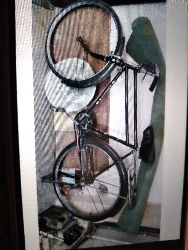 دوچرخه فونیکس ۲۸ سالم.سنددار.|دوچرخه، اسکیت، اسکوتر|مشهد, امام خمینی|دیوار