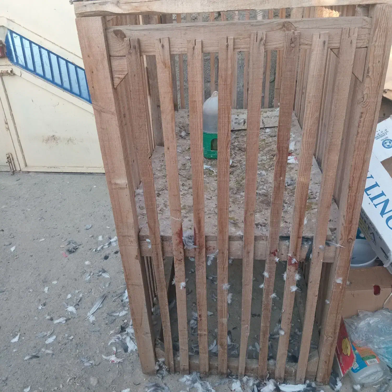 قفس|لوازم جانبی حیوانات|نقده, |دیوار