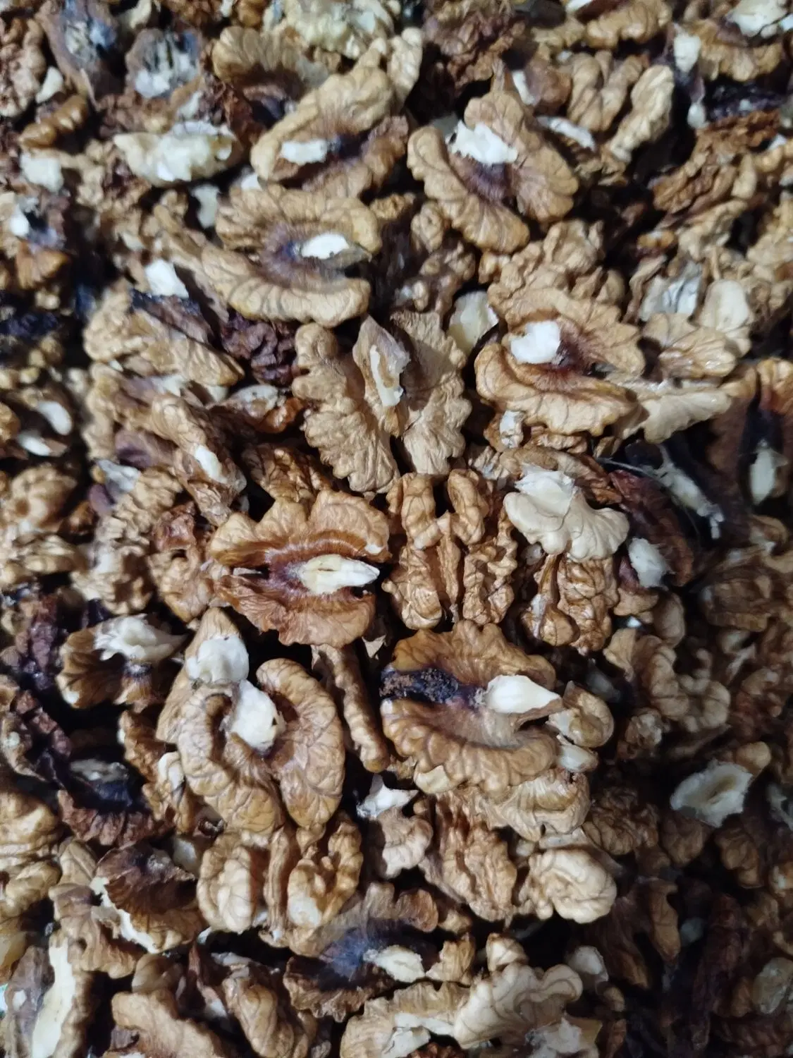 گردو|خوردنی و آشامیدنی|مشگین شهر, |دیوار