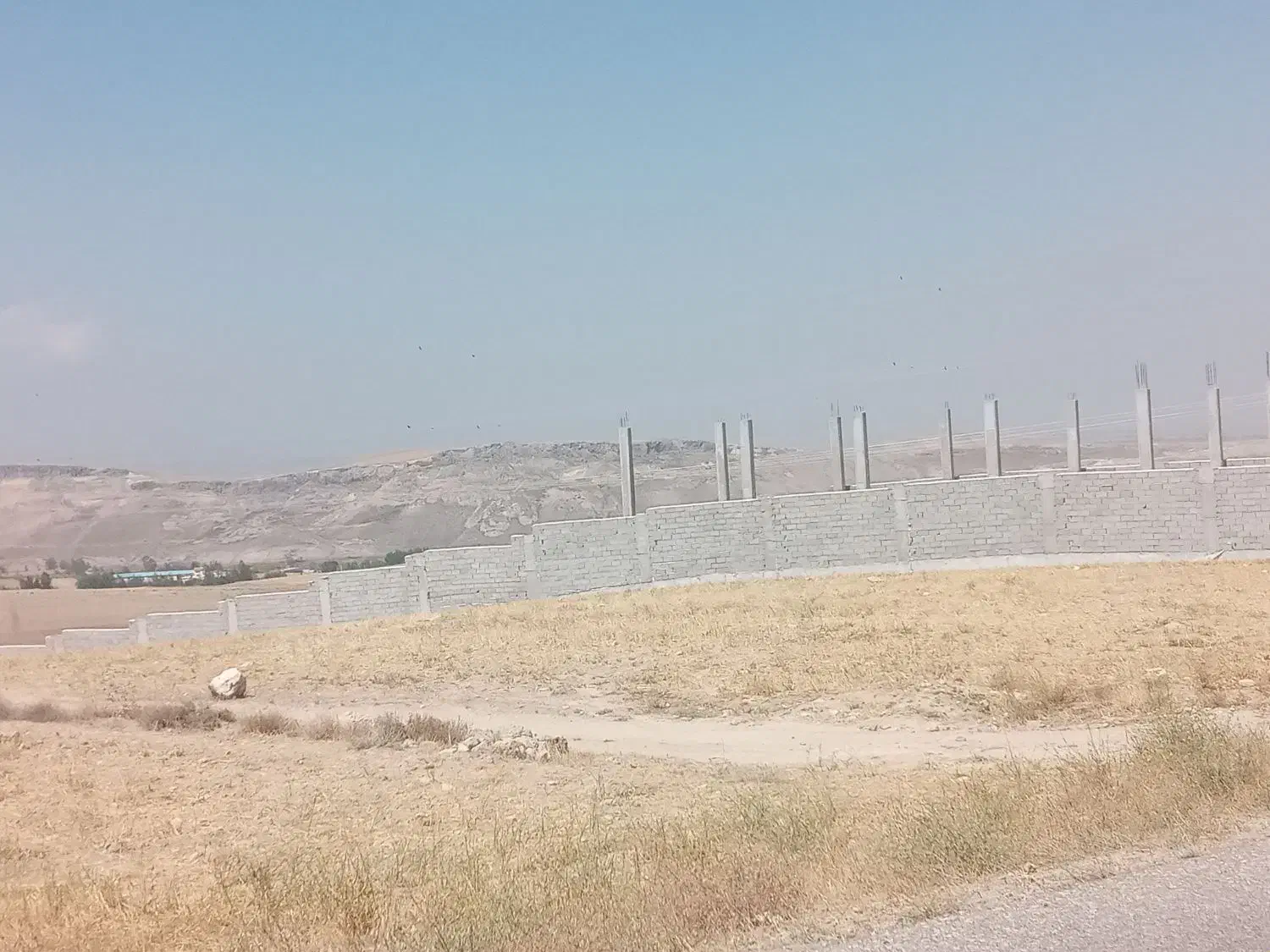 ۳۵۰۰متر زمین شام اسبی بره آسفالت|فروش زمین و ملک کلنگی|اردبیل, |دیوار