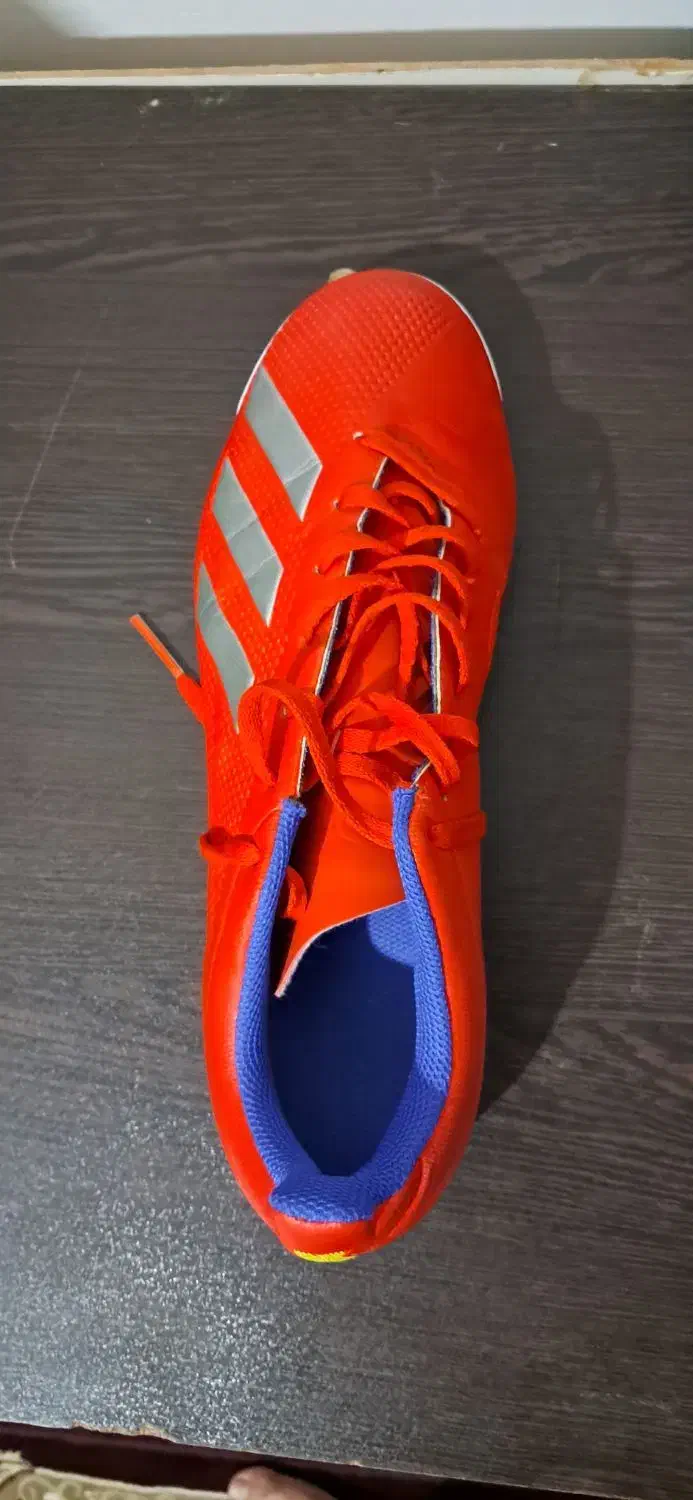 کفش سالنی اورجینال|تجهیزات ورزشی|تربت جام, میان جام|دیوار