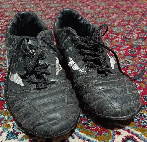 کفش سالنی و چمن مصنوعی|کیف، کفش، کمربند|اردبیل, |دیوار