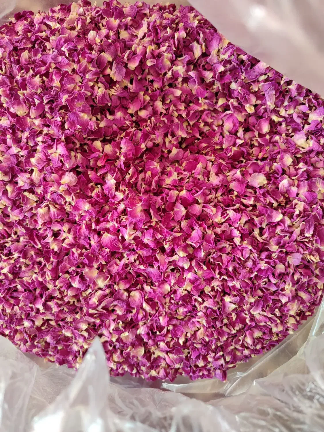 فروش گل خشک|گل و گیاه طبیعی|قلقل رود, |دیوار