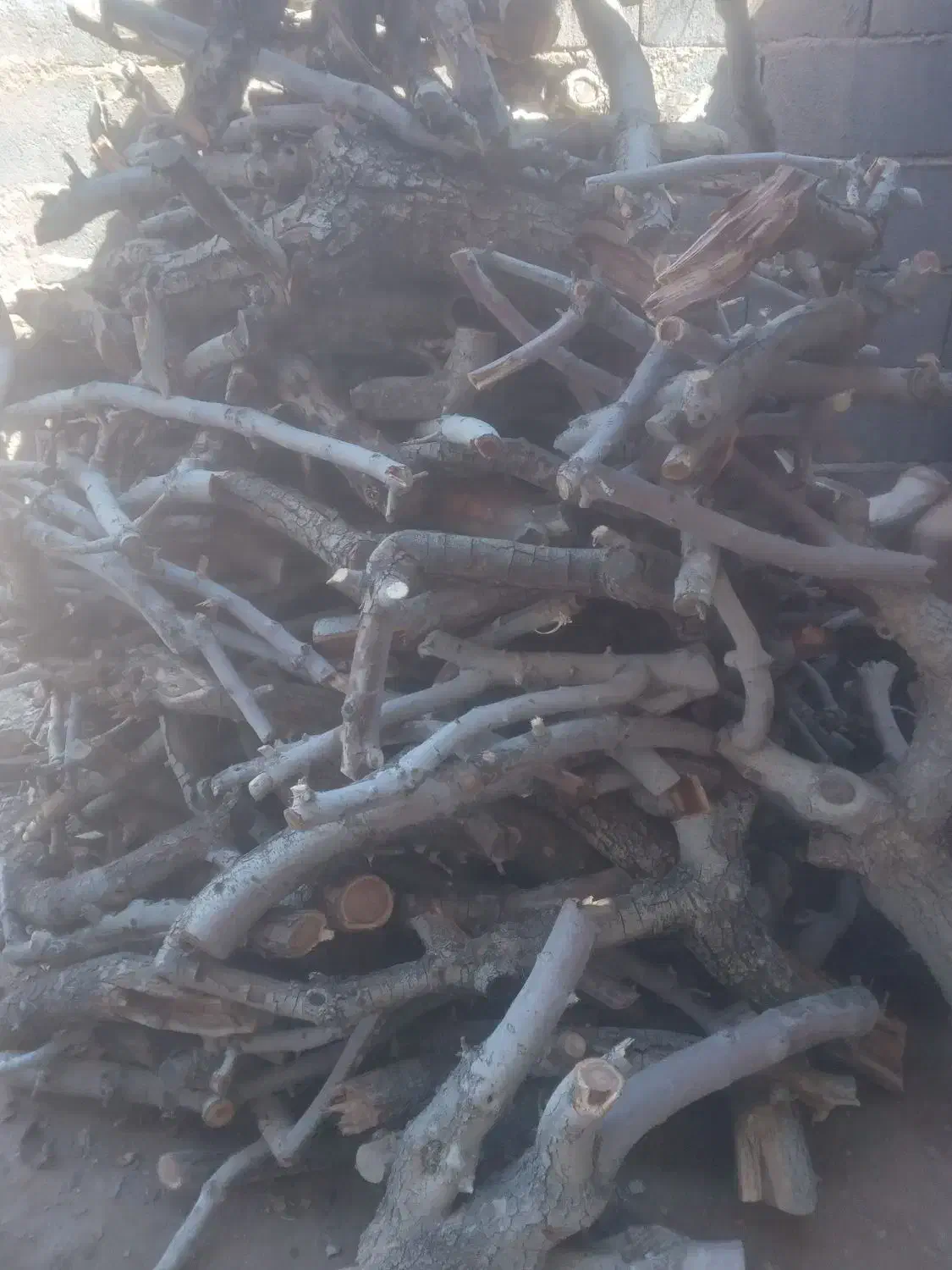 چوب|خدمات باغبانی و درختکاری|رفسنجان, |دیوار