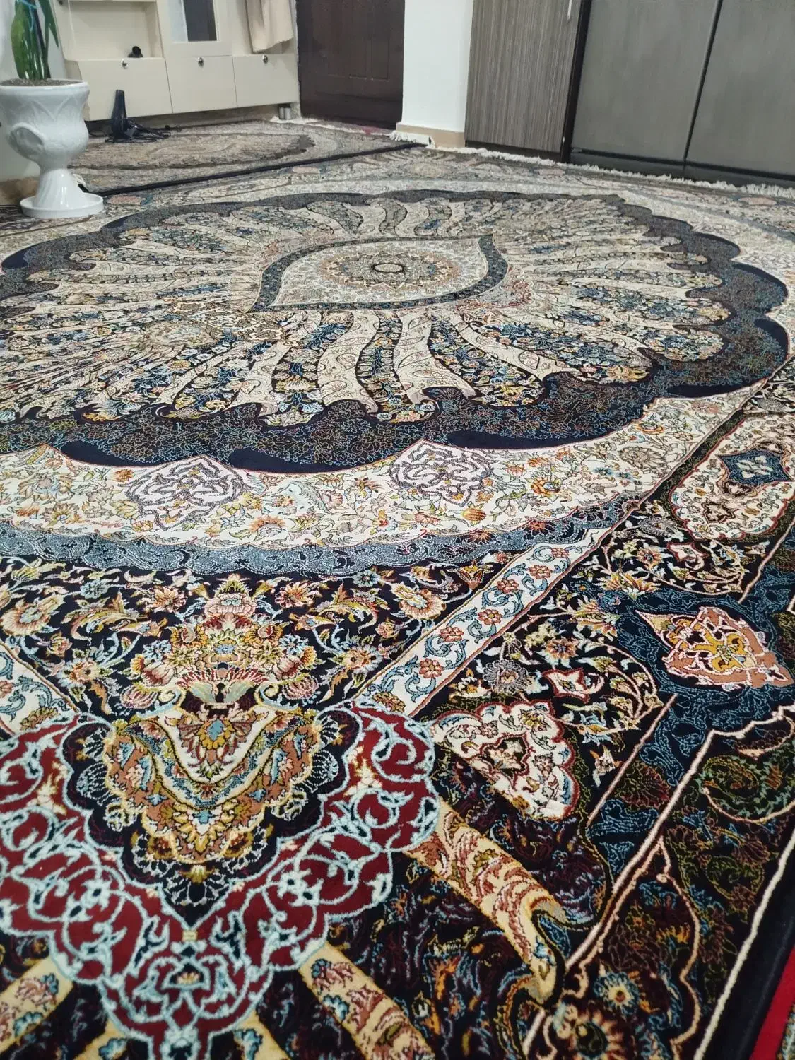 فرش ۱۲متری|فرش|رشت, کوی مهر|دیوار