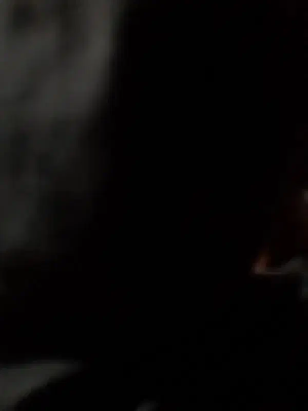 خاک حیوانی گاو وگوسفندی|حیوانات مزرعه|فهرج, |دیوار