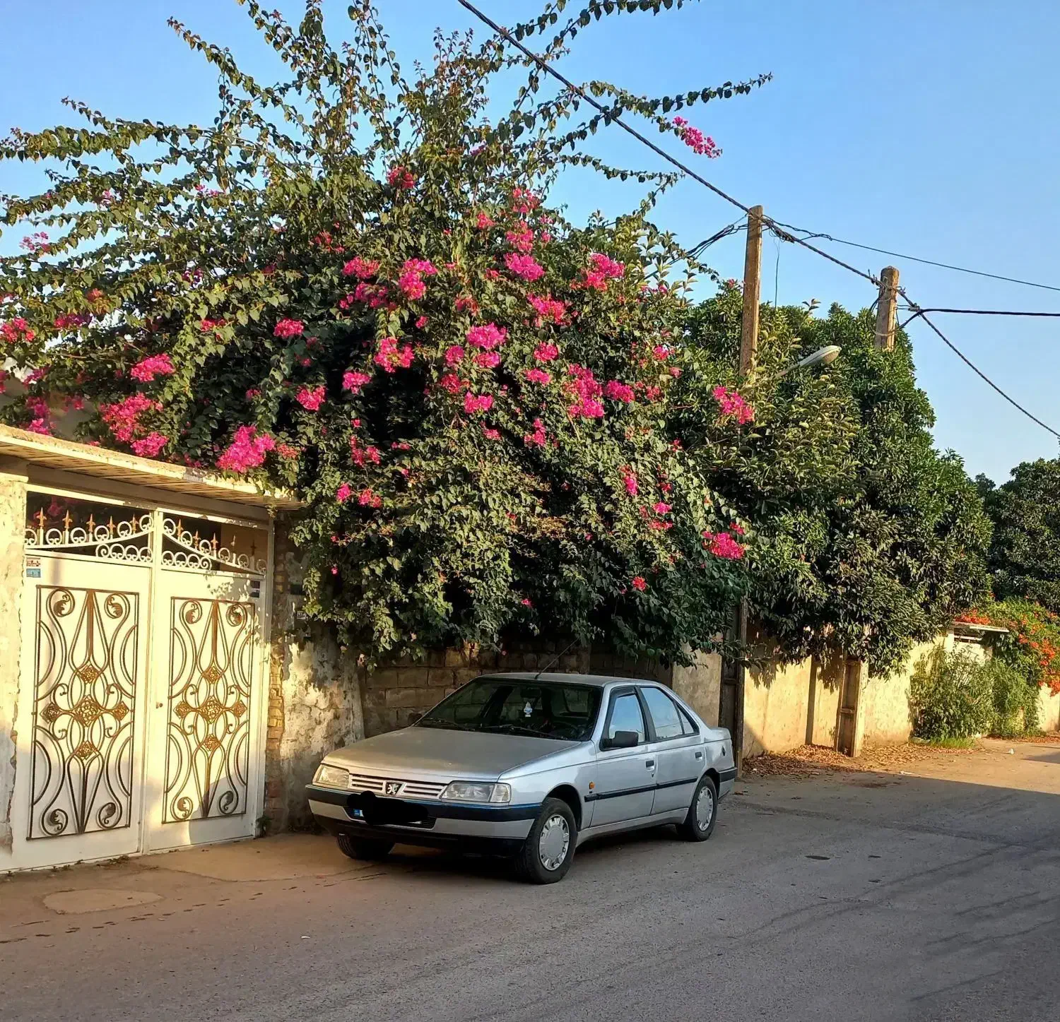 پژو 405 مدل ۸۶بدون ضربه|خودرو سواری و وانت|رشت, خمیران زاهدان|دیوار