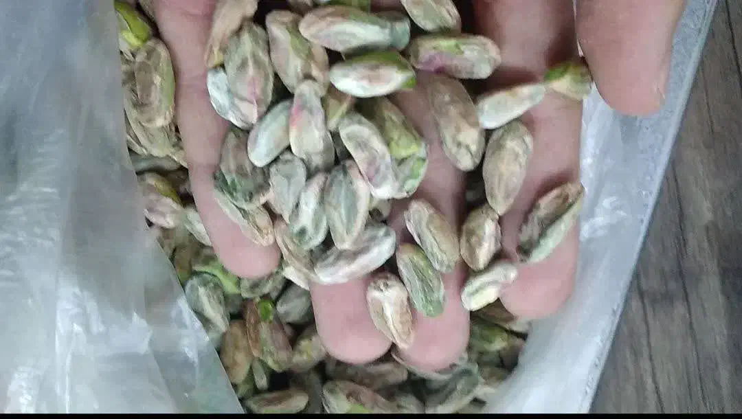 مغز پسته فروش عمده ای برای سوهان پزی و ...|خوردنی و آشامیدنی|قم, شاه احمد قاسم|دیوار