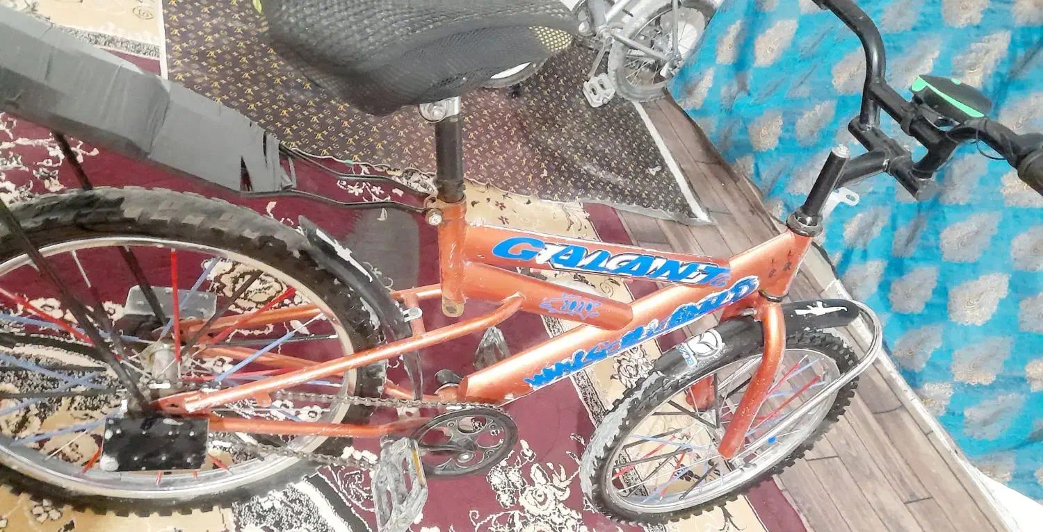 دوچرخه نو بیست سالم|دوچرخه، اسکیت، اسکوتر|زابل, |دیوار