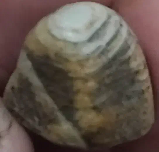 فروش سنگ قیمتی|کلکسیون اشیاء عتیقه|کرمانشاه, |دیوار