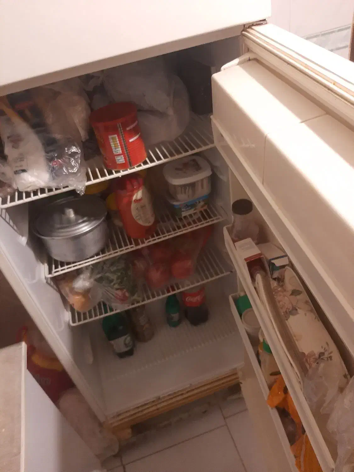 یخچال|یخچال و فریزر|مراغه, |دیوار