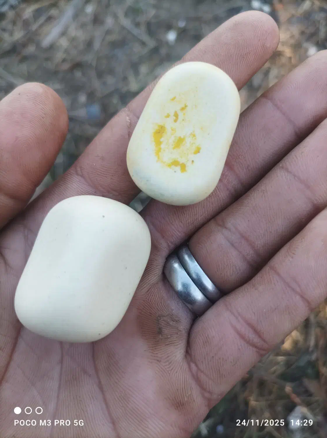 یک جفت سنگ اسیاب|کلکسیون اشیاء عتیقه|خان ببین, |دیوار