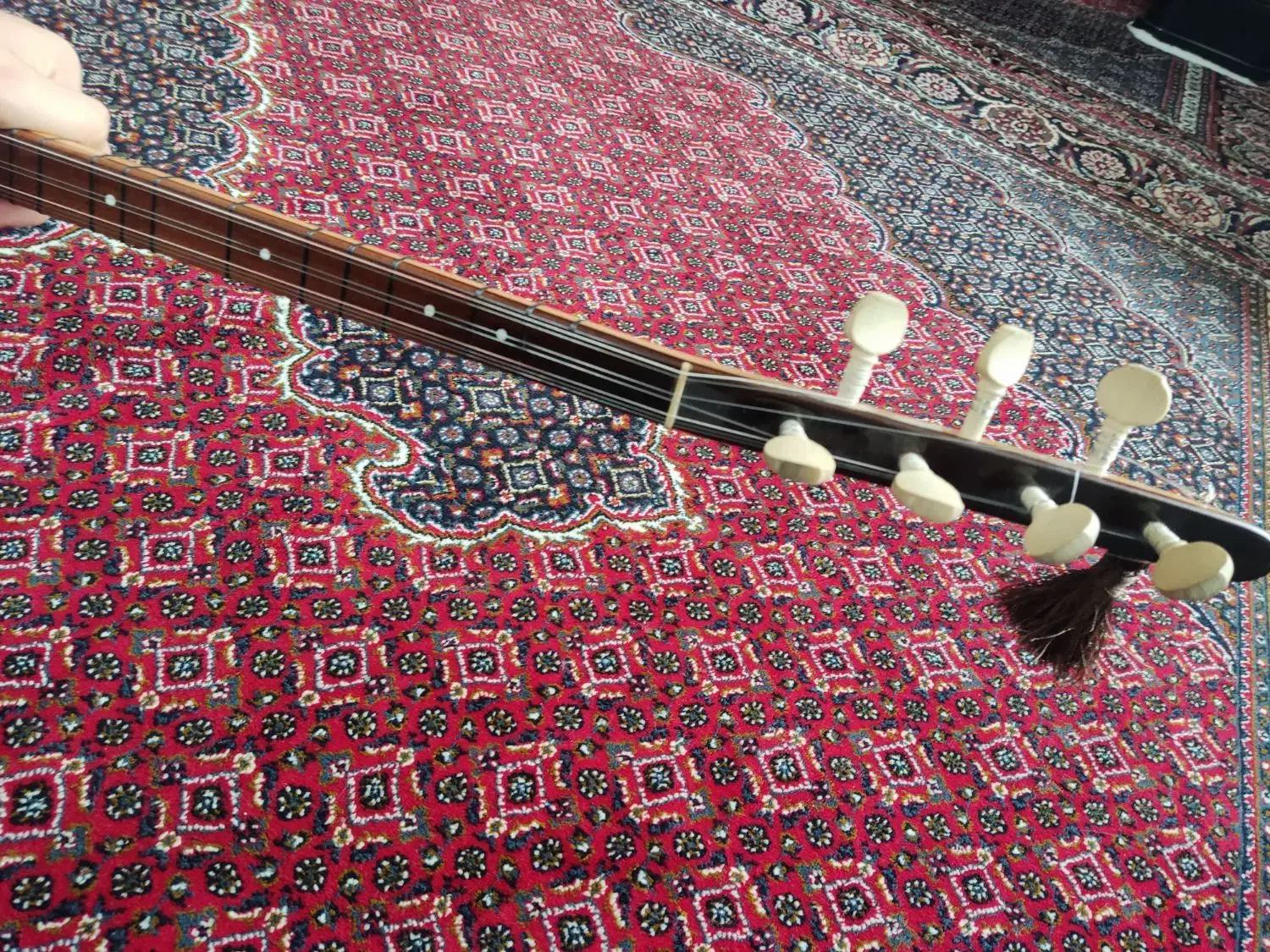 باغلاما دستە کوتاه|سازهای سنتی|بوکان, |دیوار