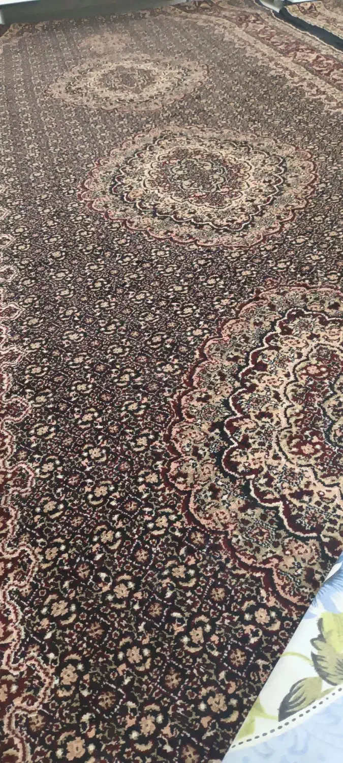 قالی|فرش|مریوان, |دیوار