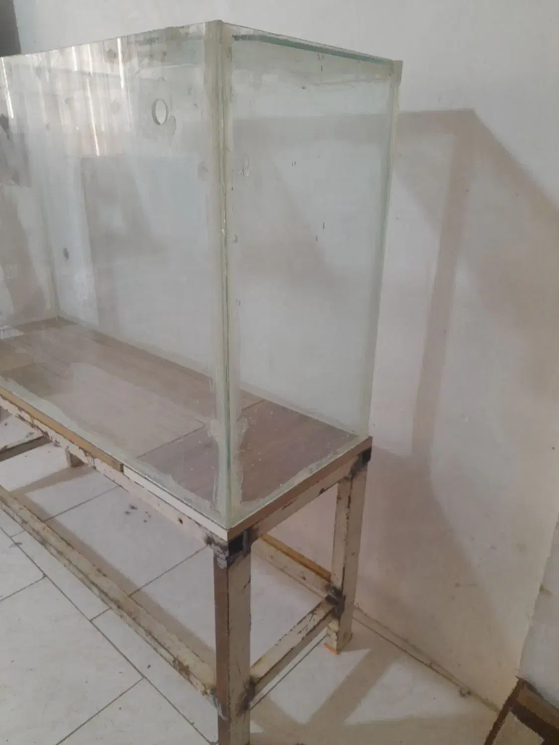 آکواریوم|ماهی|سهند, |دیوار