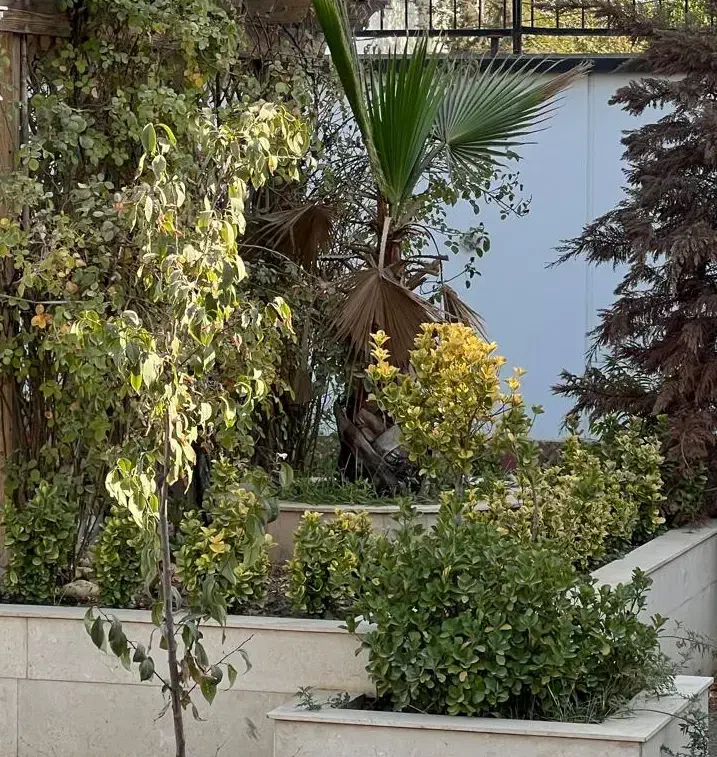 باغ ویلا زمین ۱۰۰۰ متری-طاووسیه کردان زعفرانیه|فروش زمین و ملک کلنگی|هشتگرد, طاووسیه|دیوار