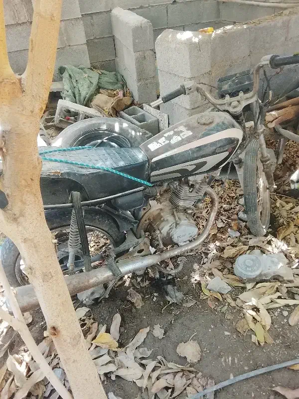 برای فرش|فرش|میناب, |دیوار