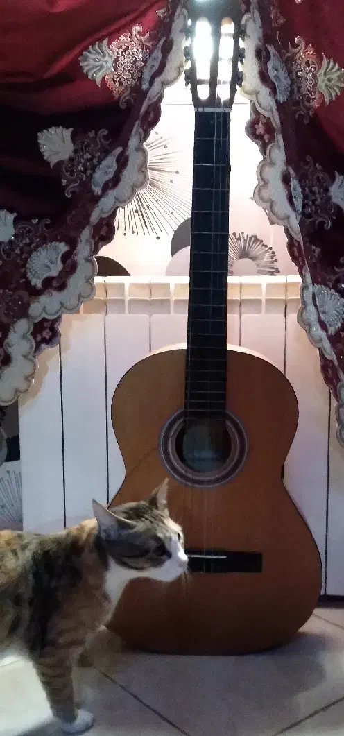 گیتار|گیتار، بیس، امپلیفایر|قرچک, میرزائی شمالی|دیوار