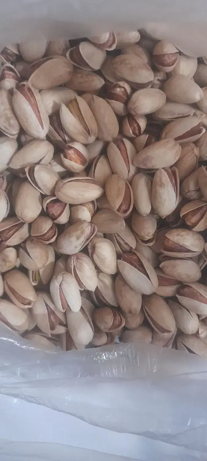 پسته|خوردنی و آشامیدنی|مه ولات, |دیوار
