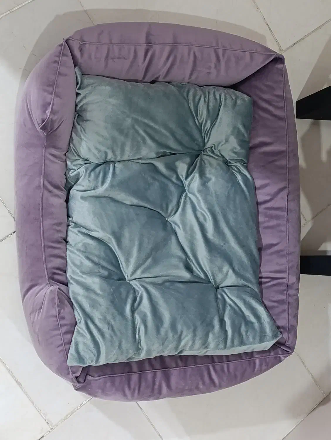 تشک راحت برای سگ|لوازم جانبی حیوانات|ارومیه, |دیوار