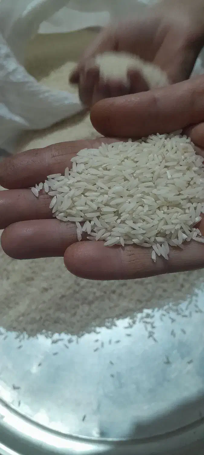 برنج دومسیاه|خوردنی و آشامیدنی|چگنی, |دیوار