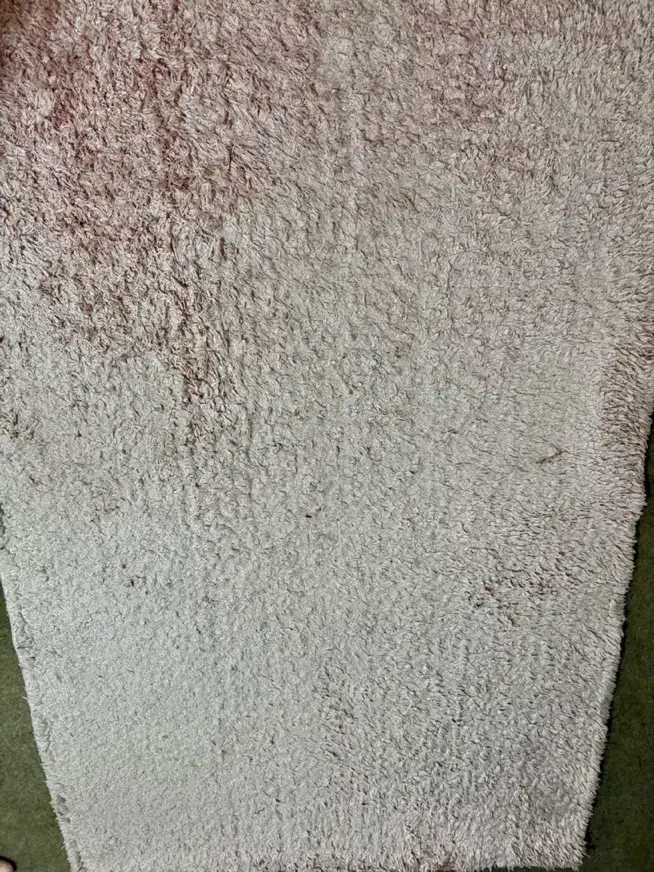 فرش|فرش|ساری, |دیوار