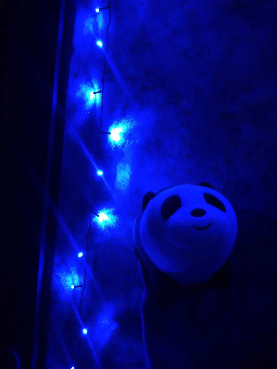 عروسک پاندا|اسباببازی|فولادشهر, مسکن مهر فولادشهر|دیوار