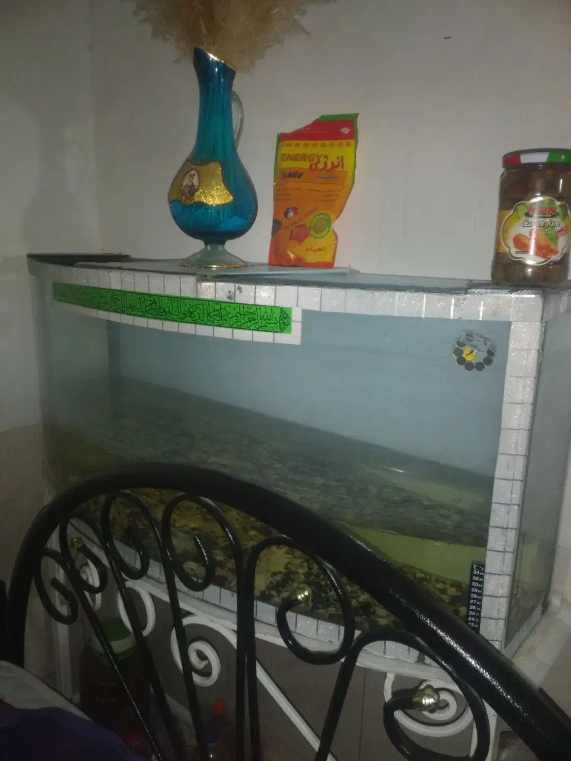 آکواریوم|ماهی|یزد, |دیوار